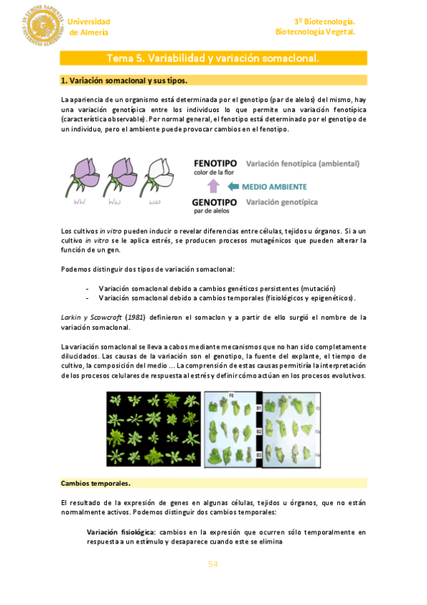 Miniatura del documento Tema-5.pdf