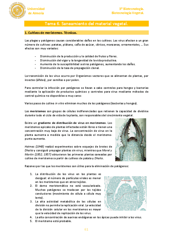 Miniatura del documento Tema-6.pdf