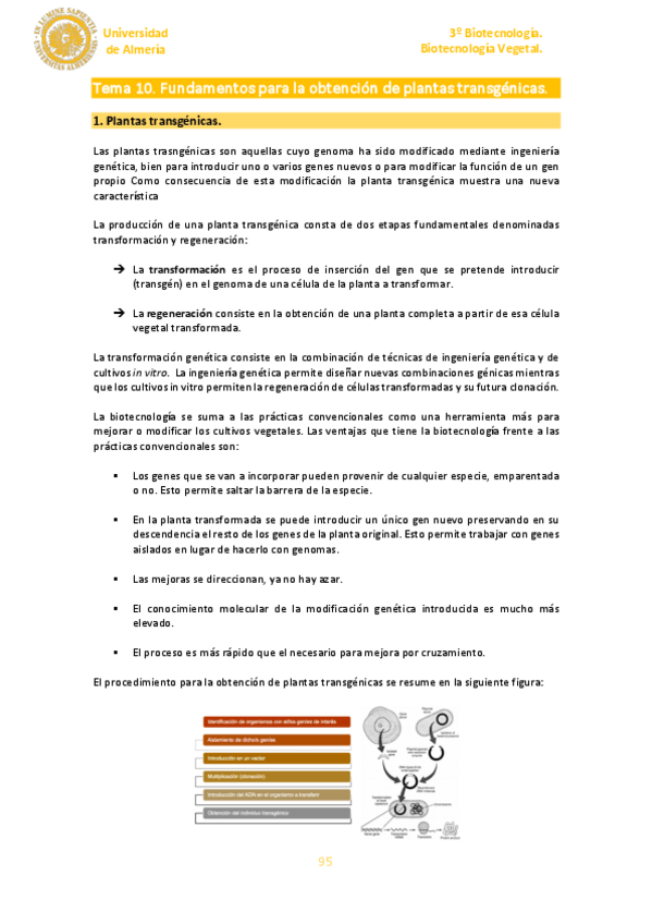 Miniatura del documento Tema-10.pdf