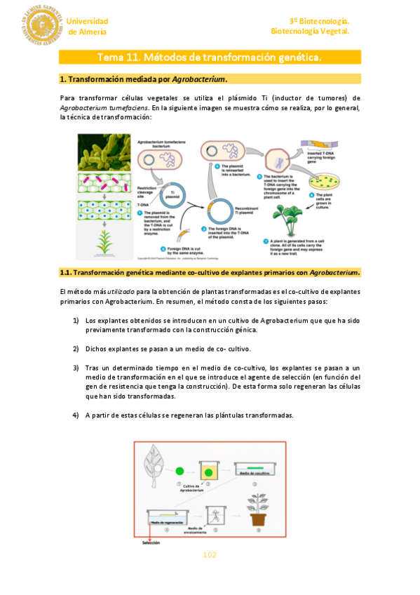 Miniatura del documento Tema-11.pdf