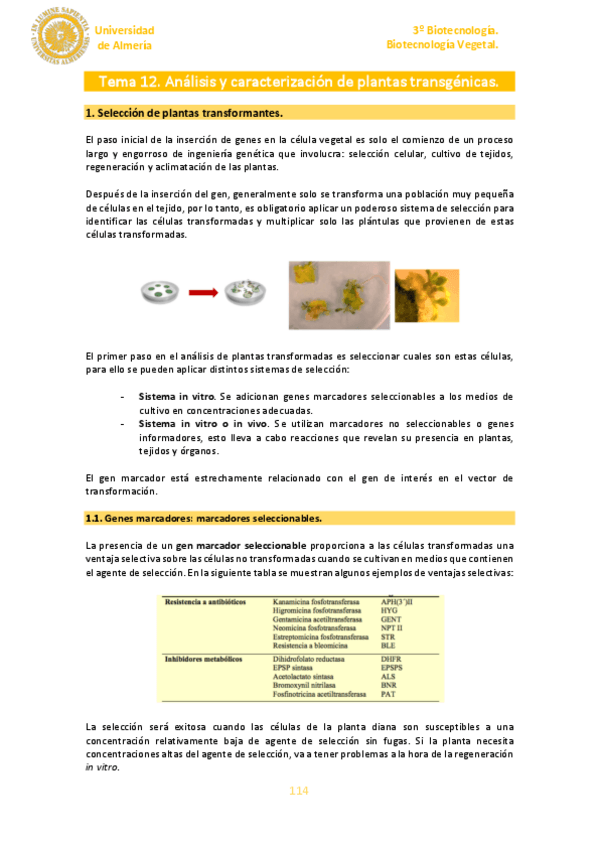 Miniatura del documento Tema-12.pdf