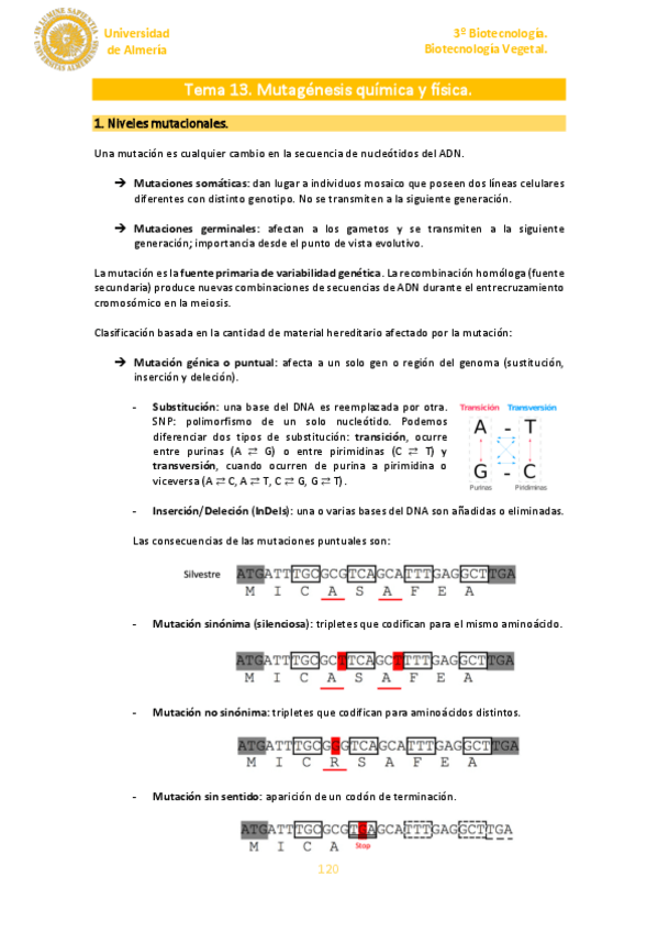 Miniatura del documento Tema-13.pdf