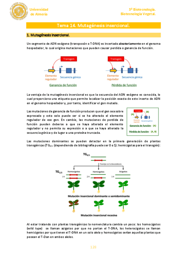 Miniatura del documento Tema-14.pdf