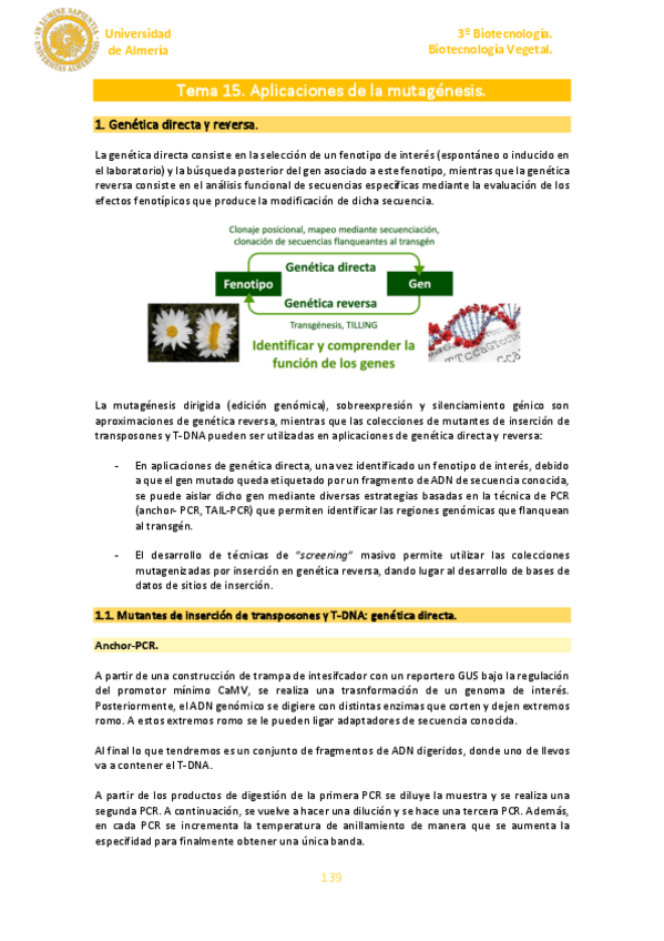 Miniatura del documento Tema-15.pdf