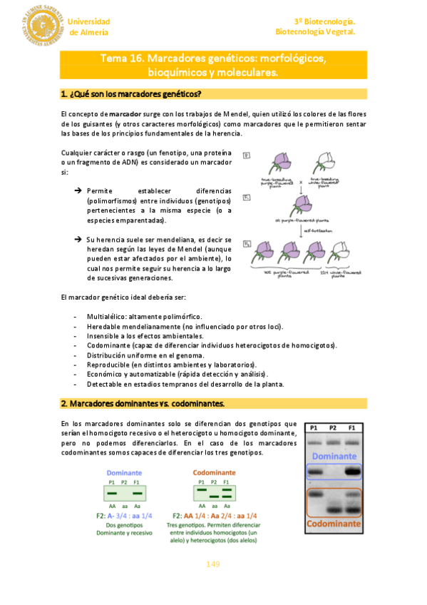 Miniatura del documento Tema-16.pdf