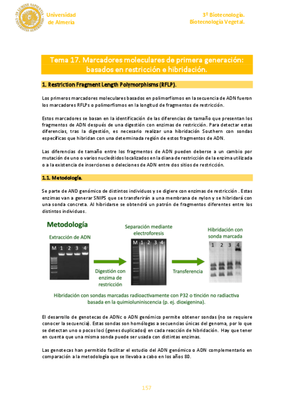 Miniatura del documento Tema-17.pdf