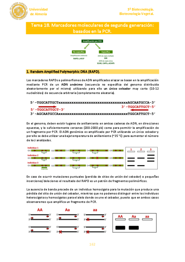 Miniatura del documento Tema-18.pdf