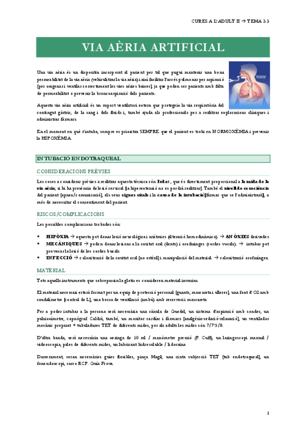 Miniatura del documento 3.3-VIA-AERIA-ARTIFICIAL.pdf