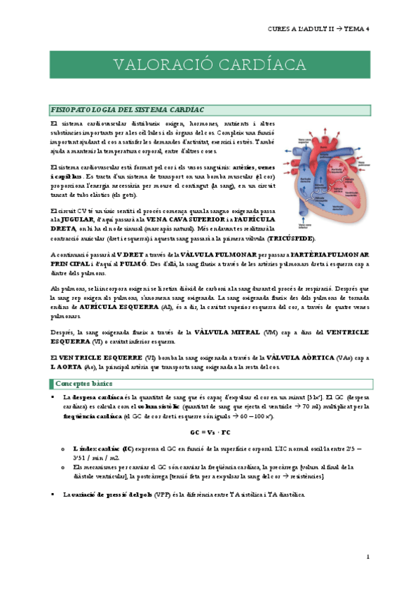 Miniatura del documento 4.-VALORACIO-CARDIACA.pdf