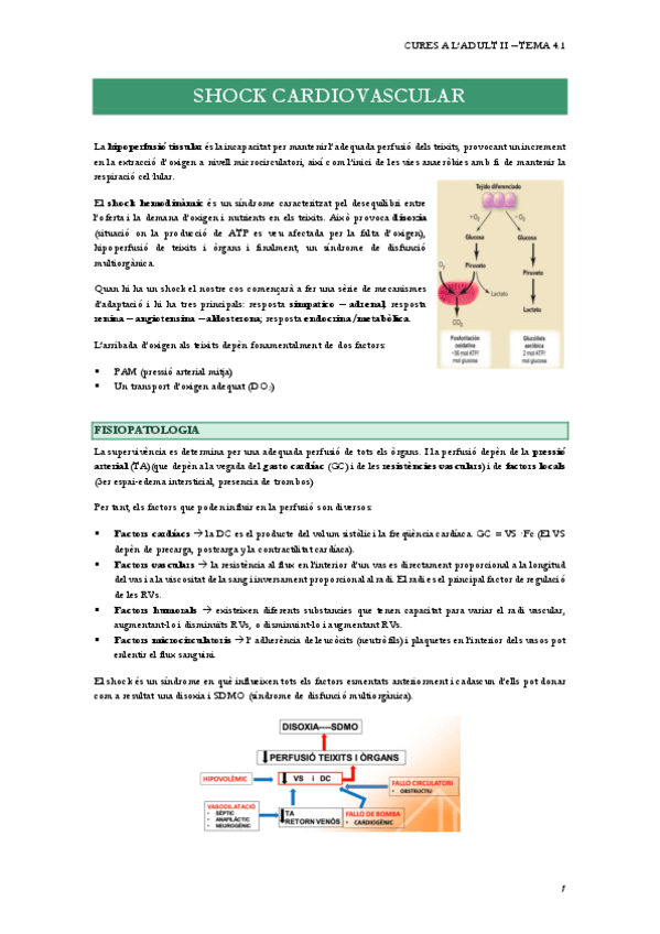 Miniatura del documento 4.1.-SHOCK-CARDIOVASCULAR.pdf