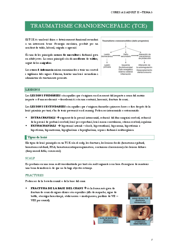 Miniatura del documento 5.TRAUMATISME-CRANIOENCEFALIC.pdf