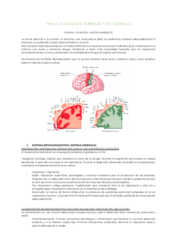 Miniatura del documento Tema-1.-Funciones-verbales-y-no-verbales.pdf
