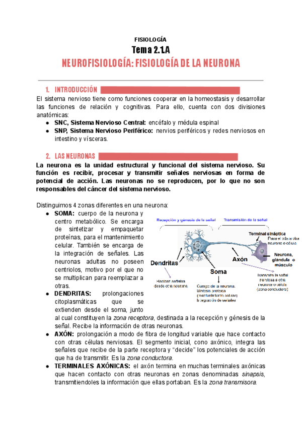 Miniatura del documento fisiologia-tema-2.1.A-NEURONA.pdf