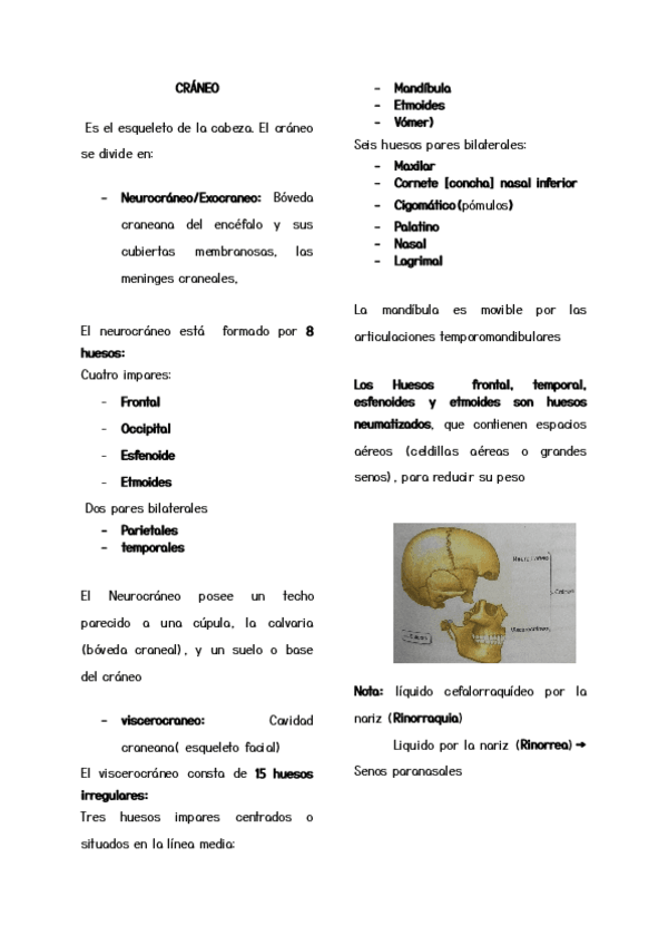 Miniatura del documento ANATOMIA-DEL-CRANEO.pdf
