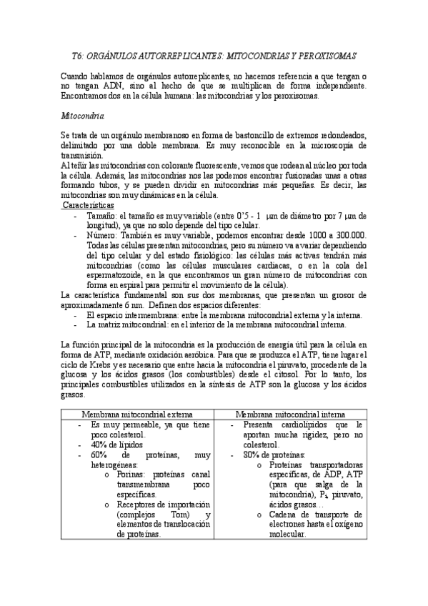 Miniatura del documento T6.pdf