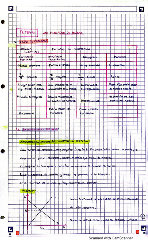 Miniatura del documento TEMA-6-COMPLETO.pdf