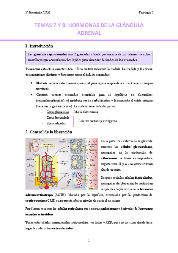 Miniatura del documento TEMAS-7-y-8.-Hormonas-de-la-glandula-adrenal..pdf