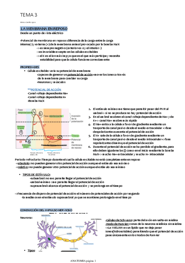 Miniatura del documento TEMA-3.pdf