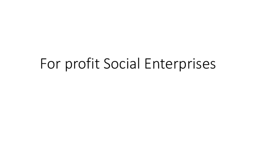 Miniatura del documento Social-Enterprise-1.pdf