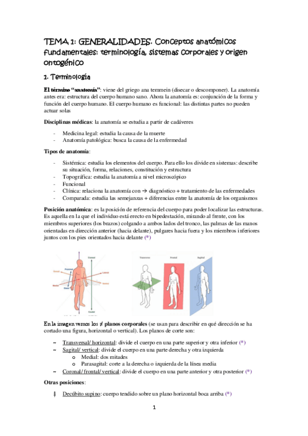 Miniatura del documento Apuntes anatomia con preguntas test contestadas.pdf