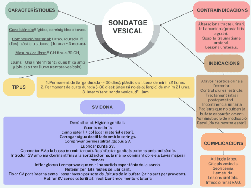 Miniatura del documento SONDATGE-VESICAL.pdf