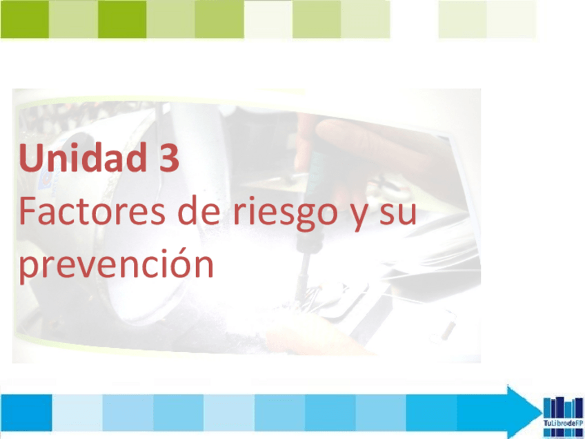 Miniatura del documento Factores-y-prevencion-de-riesgos.Fol.pdf