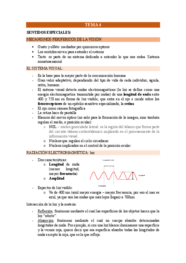 Miniatura del documento Mecanismos-de-la-vision.pdf