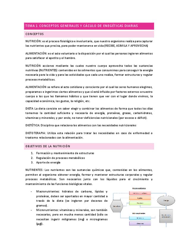 Miniatura del documento TEMA-1-CONCEPTOS-GENERALES-Y-CACULO-DE-ENEGETICAS-DIARIAS.pdf