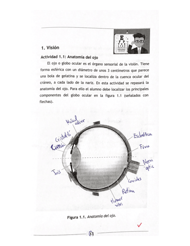 Miniatura del documento Cuadernillo-fisio-I-CORREGIDO.pdf