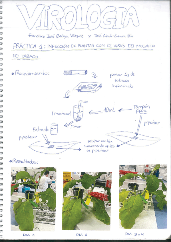 Miniatura del documento Cuaderno-Practicas-Virologia.pdf