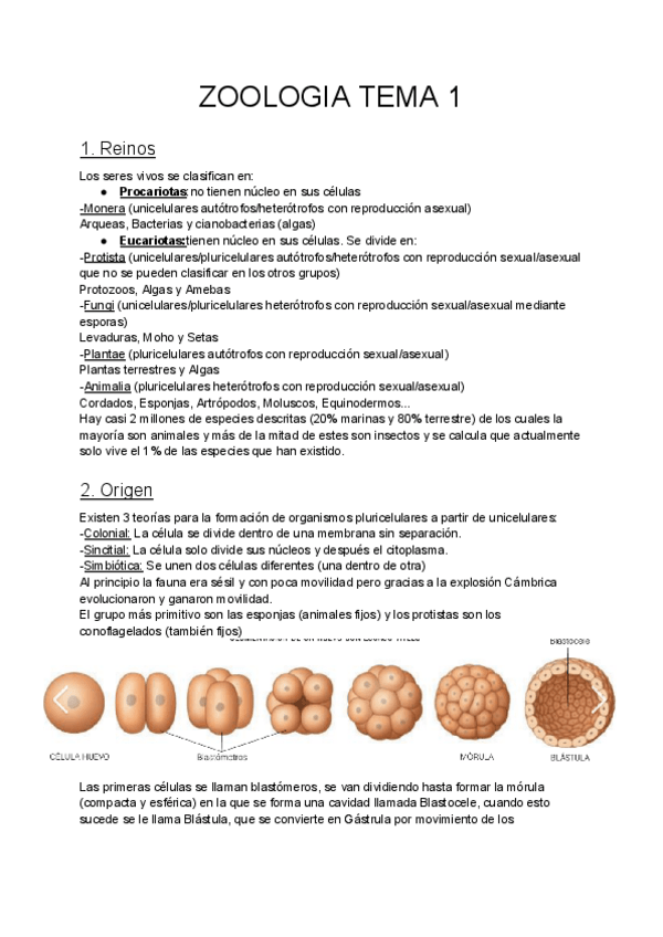 Miniatura del documento ZOOLOGIA-TEMA-1.pdf