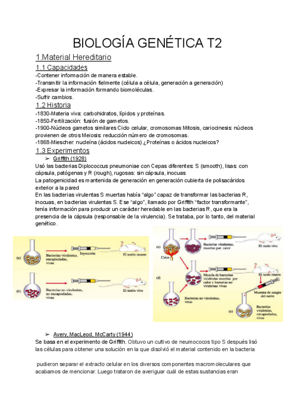 Miniatura del documento GENETICA-T2-TEORIA.pdf