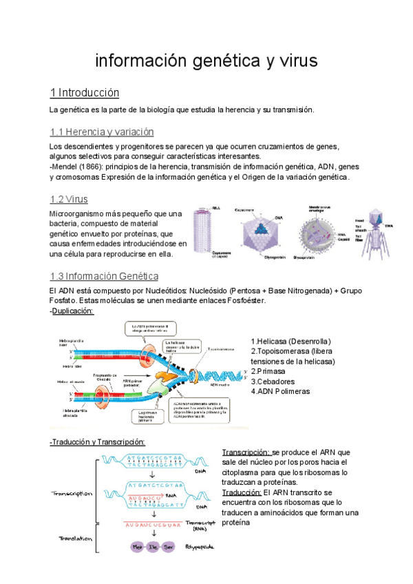 Miniatura del documento GENETICA-T1-TEORIA.pdf
