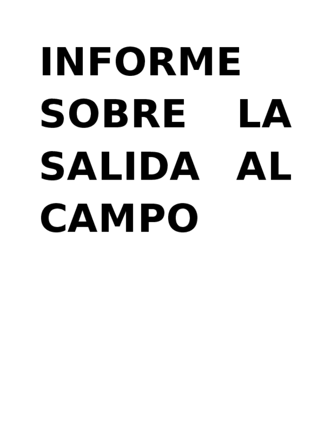 Miniatura del documento Informe.docx