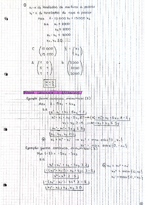 Miniatura del documento Tema-1.-Investigacion-Operativa.pdf