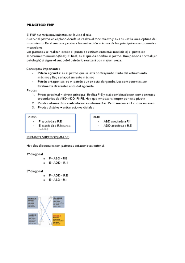 Miniatura del documento PRACTICO-FNP.pdf