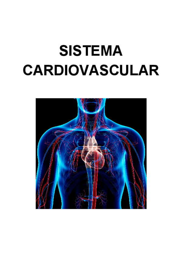 Miniatura del documento SISTEMA-CARDIOVASCULAR-TEXTO-no-estan-todos-los-temas.pdf