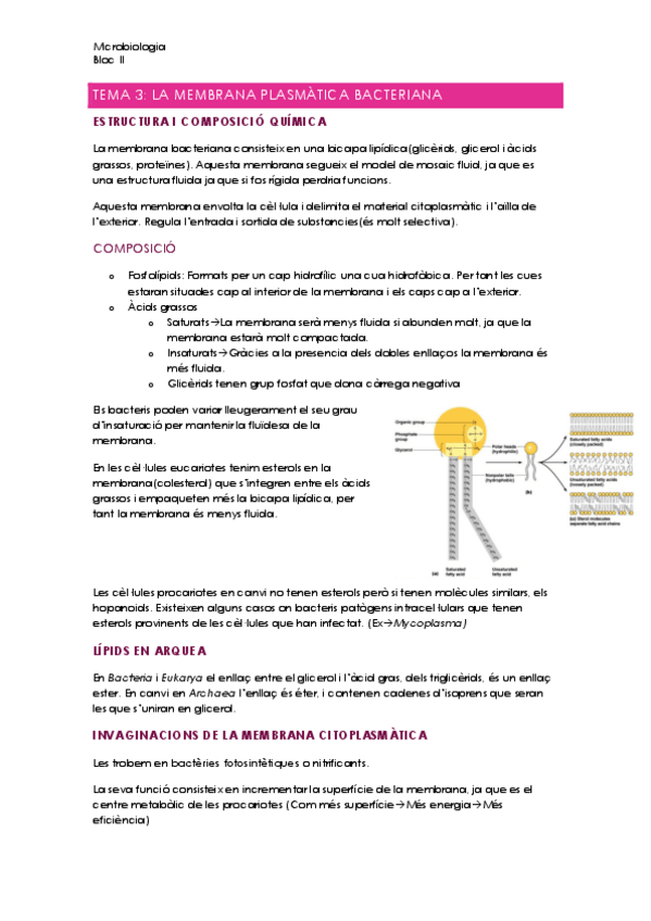 Miniatura del documento Micro-Bloc-II.pdf