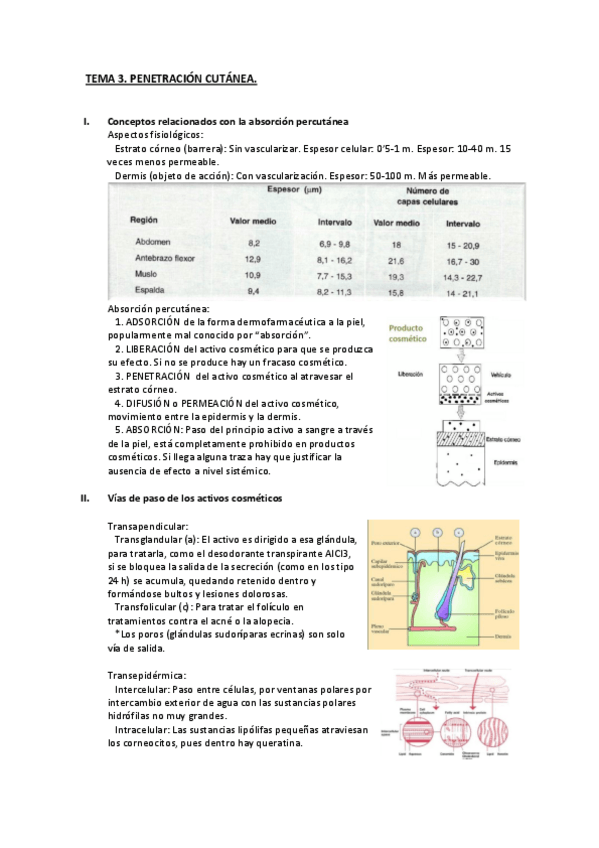Miniatura del documento TEMA 3.pdf