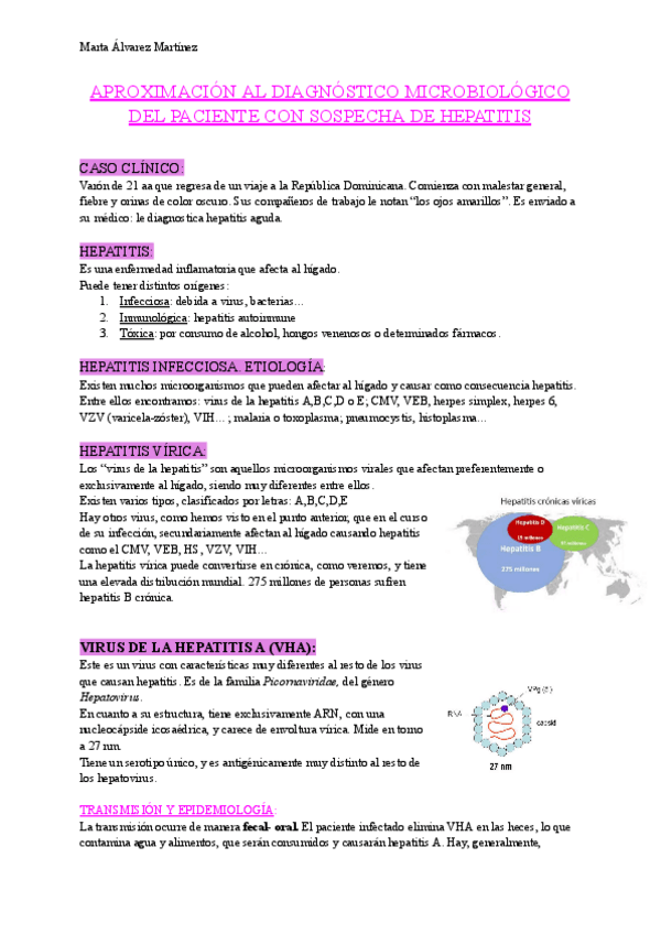 Miniatura del documento seminario-hepatitis-1.pdf