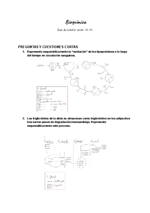 Miniatura del documento A07-guia-de-estudios-sesion-12-14.pdf