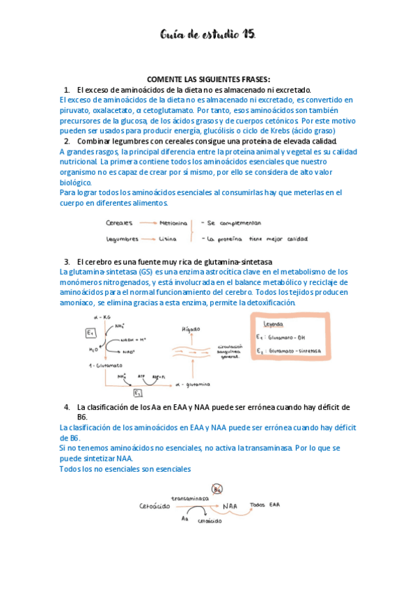 Miniatura del documento A09-sesion-15-guia-de-estudio.pdf
