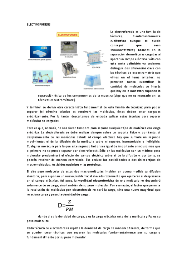 Miniatura del documento ELECTROFORESIS.pdf