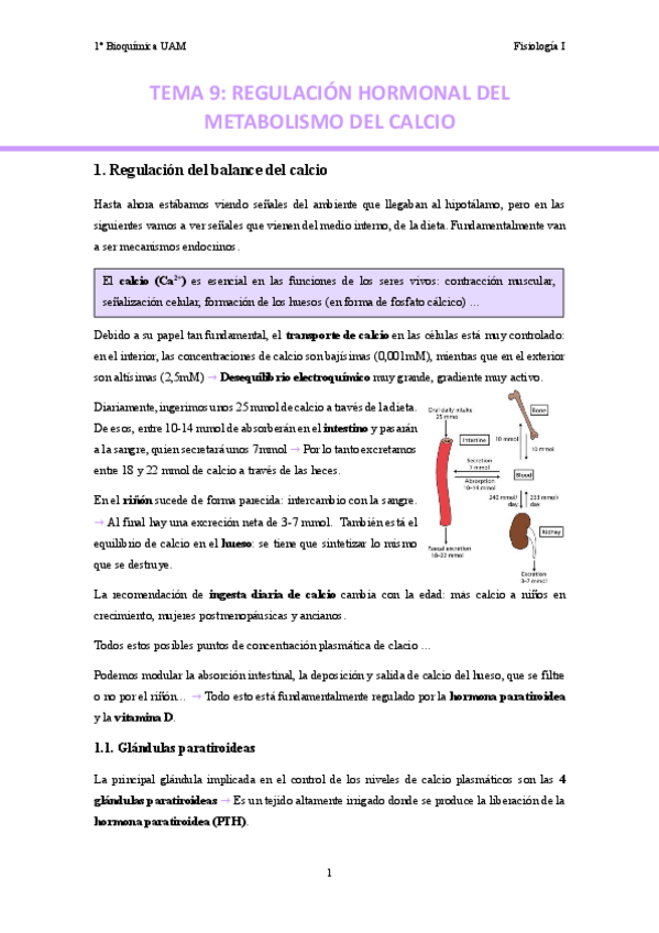 Miniatura del documento TEMA-9.-Regulacion-hormonal-del-metabolismo-del-calcio..pdf