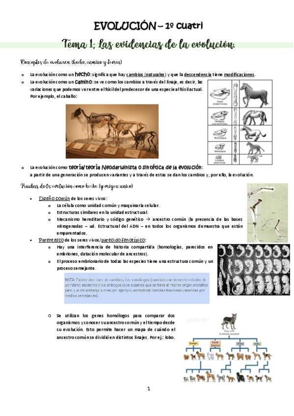Miniatura del documento apuntes-t1-t9-curso-2223.pdf