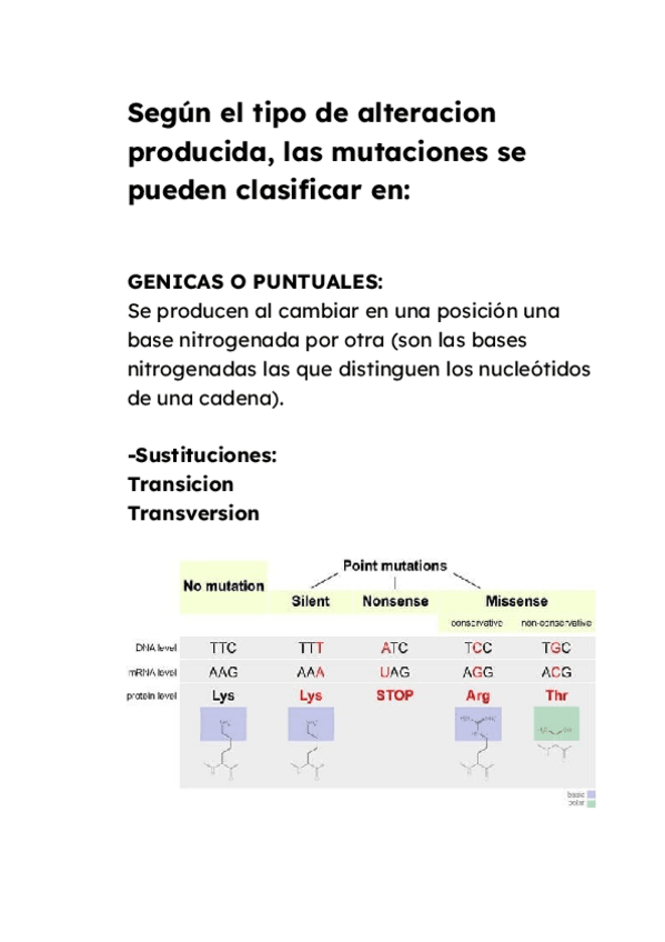 Miniatura del documento Documento-sin-titulo-6.docx