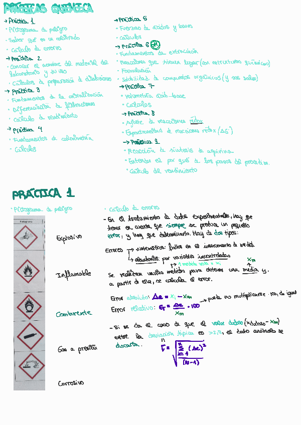 Miniatura del documento Practicas.pdf