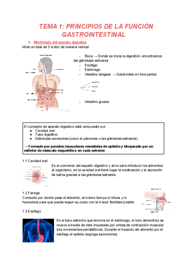 Miniatura del documento BLOQUE-IV.pdf