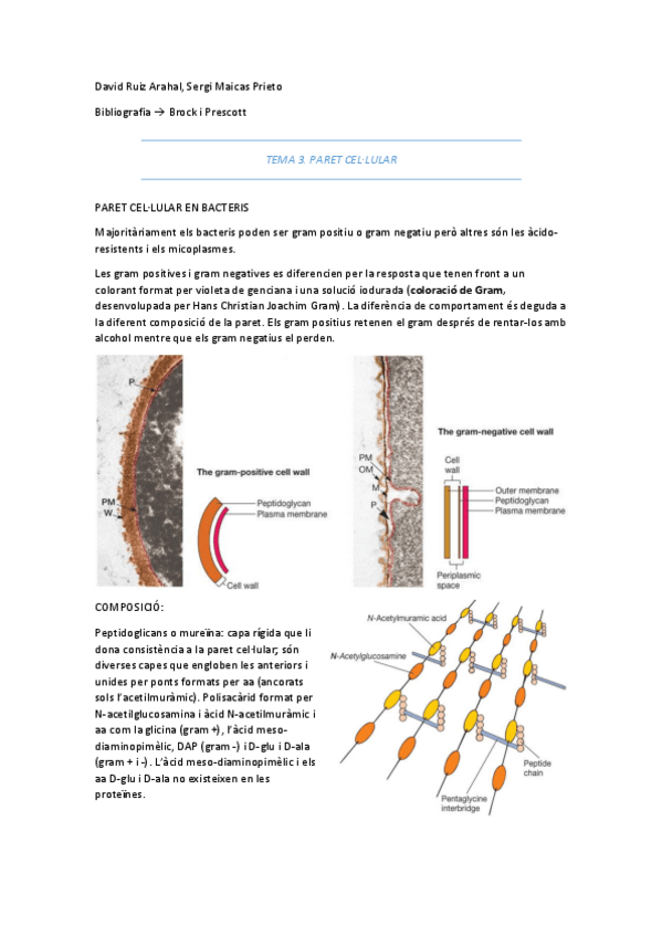 Miniatura del documento Apuntes-micro-primer-cuatri.pdf