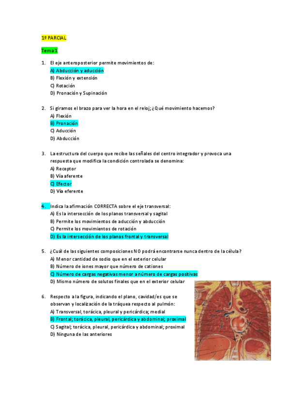Miniatura del documento examen-estructura-1op.pdf